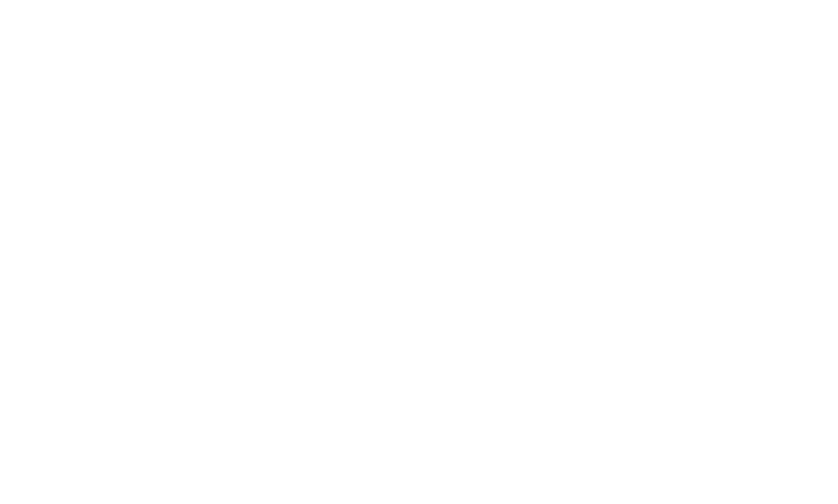 メンバーの「強み」を活かした戦略×実行で「業績」を最大化するコンサルティング